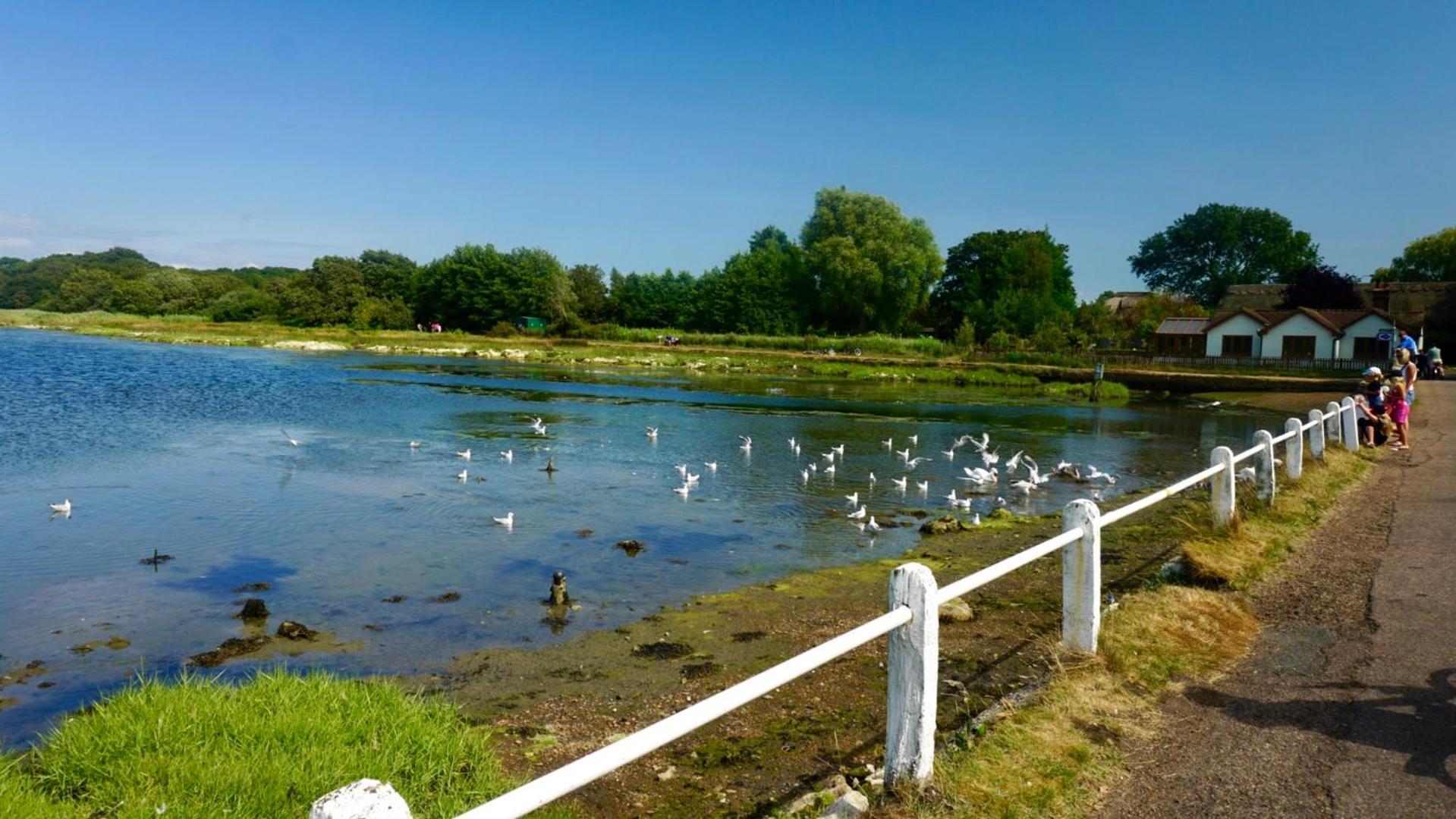 Valley View Self-Catering Coastal Bungalow In Rural West Wight Freshwater Bagian luar foto